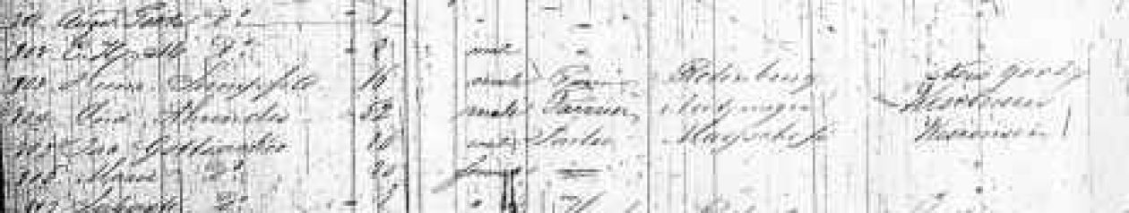 The Gottsacker Family Story 